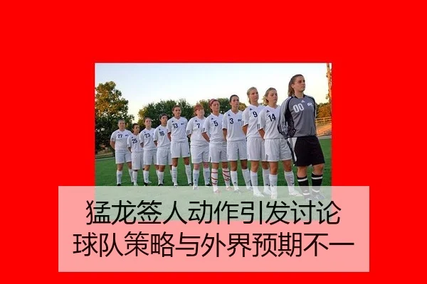 猛龙签人动作引发讨论 球队策略与外界预期不一